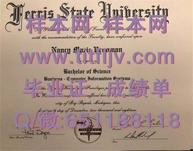 《荷兰伊拉斯姆斯大学文凭解析：国际认可度与求职优势全揭秘》
