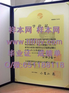 《荷兰伊拉斯姆斯大学毕业证书揭秘：如何获取国际认可的学术荣耀》