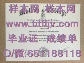 《揭秘国际认可度：滋贺大学毕业证背后的含金量与就业优势》