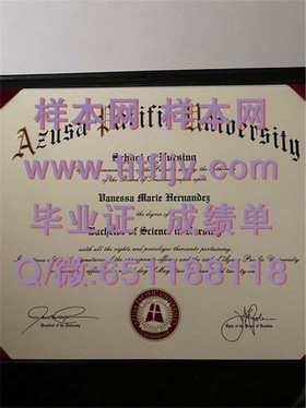 《荷兰伊拉斯姆斯大学毕业证解析：揭秘真实含金量与全球认可度》