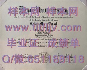 《荷兰伊拉斯姆斯大学证书详解：全球认可，求职利器，揭秘真实含金量》