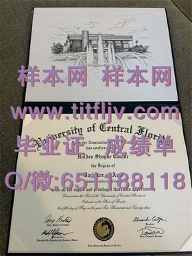 《波恩大学毕业证：权威认证背后的故事与价值解析》