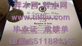 《荷兰伊拉斯姆斯大学学位证书详解：权威认证，留学梦想的敲门砖》