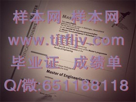 《波恩大学学历认证：揭秘真实毕业证背后的含金量与申请攻略》