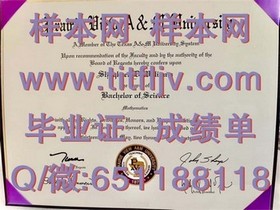 《荷兰伊拉斯姆斯大学证书解析：权威认证，留学回国就业的黄金敲门砖》