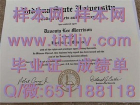 《西北密歇根学院毕业证揭秘：留学回国就业优势大揭秘！》