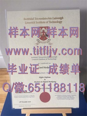 《荷兰伊拉斯姆斯大学证书解析：全球认可，留学成就新篇章》
