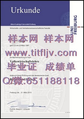 《波恩大学文凭解析：全面了解德国顶尖学府的毕业证书含金量》