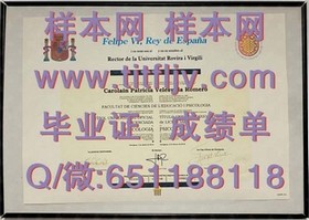 《荷兰伊拉斯姆斯大学证书解析：全球认可的教育成就展示》