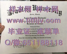 《波恩大学认证学位详解：如何获取权威的德国大学毕业证书》