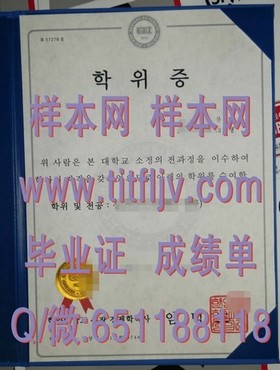 《波恩大学认证证书详解：权威学历，国际认可，你的留学梦想凭证》