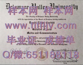 《乔治亚大学学历认证攻略：揭秘毕业证书的含金量与获取途径》