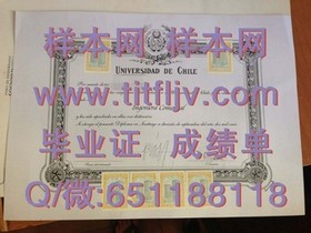《波恩大学认证攻略：详解如何获取国际认可的毕业证书》