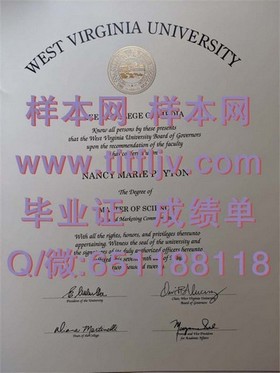 《荷兰伊拉斯姆斯大学证书解析：全球认可的教育成就展示》