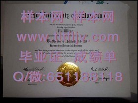 《深度揭秘：都柏林城市大学文凭样本解析，助你轻松辨别真伪》