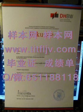 《深度揭秘：都柏林理工学院官方毕业证文凭成绩单样本解析，留学必备》