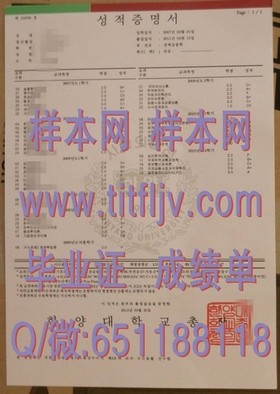 《深度揭秘：梅努斯大学文凭样本，带你一睹真迹与成绩单解析》
