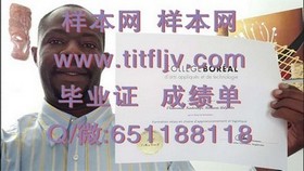 《深度揭秘：都柏林城市大学官方文凭样本，留学必备成绩单详解》