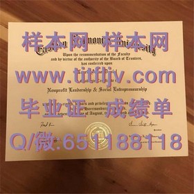 《利莫瑞克理工学院文凭样本大揭秘：清晰成绩单展示，留学必备参考》