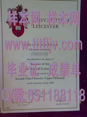 《利莫瑞克理工学院文凭样本大揭秘：如何识别真伪及完整成绩单解析》