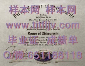 《纽卡斯尔大学文凭样本详解：成绩单与毕业证全解析》