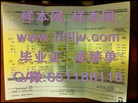 《约克圣约翰大学毕业证文凭成绩单样本大揭秘：详实模板助你了解真实格式》