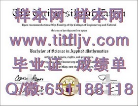 《奥克兰大学文凭揭秘：成绩单样本深度解析，留学必备参考》
