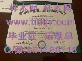 《梅西大学文凭样本揭秘：成绩单样式解析，留学必备指南》