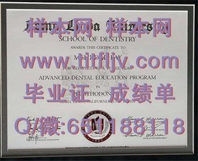 《惠灵顿理工学院文凭样本大揭秘：毕业证书与成绩单详解》