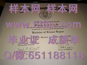 《布兰登大学官方文凭样本揭秘：成绩单与毕业证详解》
