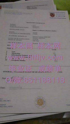 《萨里大学官方文凭揭秘：成绩单与毕业证样本全解析》