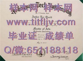 《梅努斯大学文凭揭秘：成绩单样本大曝光，留学必备参考》