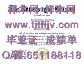 《揭秘都柏林城市大学真文凭样本：成绩单解析与获取途径》