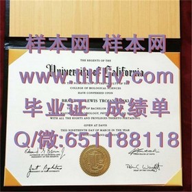 《深度揭秘：约克大学毕业证、文凭及成绩单样本，留学必备指南》