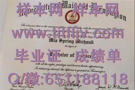 《爱尔兰格里菲斯学院文凭样本大揭秘：真实成绩单展示与解读》