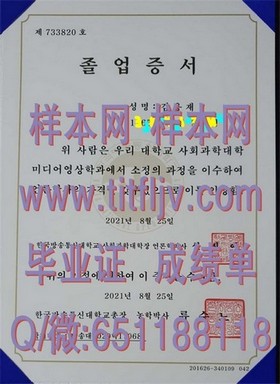 《杜伦大学文凭样本深度解析：真实成绩单解读与获取指南》
