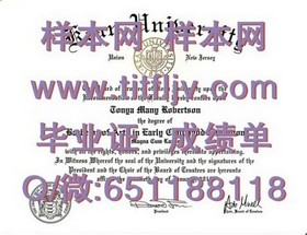 《纽卡斯尔大学毕业证样本深度解析：文凭成绩单全貌一览》