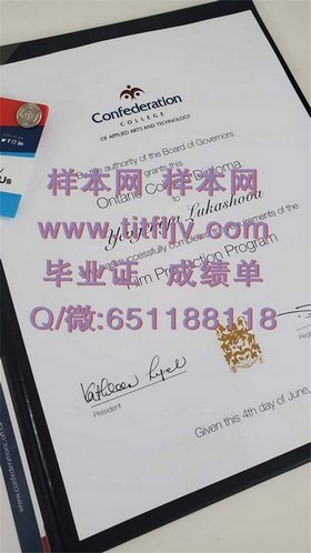 《新加坡管理大学文凭样本揭秘：成绩单详解，留学必备参考》