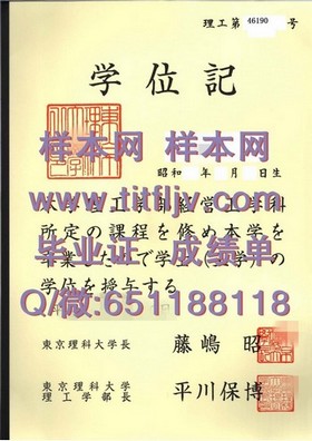 《苏塞克斯大学文凭样本解析：真实成绩单揭秘，留学必备攻略》