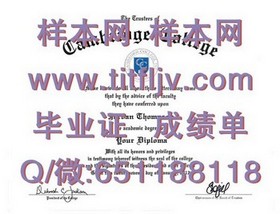 《奥塔哥理工学院毕业证样本大揭秘：文凭成绩单样式全解析》