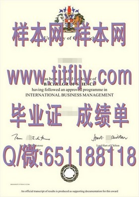 《怀卡托理工学院毕业证样本大揭秘：文凭与成绩单详解》