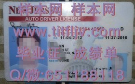 《阿比蒂彼特米斯卡大学文凭样本揭秘：毕业证与成绩单全解析》