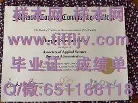 《德蒙特福特大学文凭全解析：成绩单样本深度揭秘，留学必备参考》