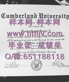 《爱尔兰国立大学文凭样本解析：成绩单解读与毕业证书详览》