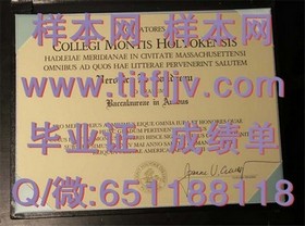 《深度揭秘：梅努斯大学毕业证、文凭、成绩单样本详解，留学必备指南》