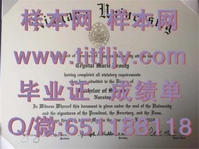 《深度揭秘：都柏林城市大学官方文凭样本，成绩单详解，留学必备攻略》