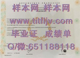 《揭秘都柏林城市大学真文凭样本：成绩单详解，留学必备参考》