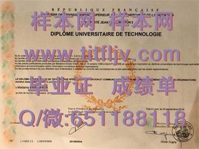 《都柏林理工学院官方文凭样本揭秘：清晰成绩单，留学必备指南》