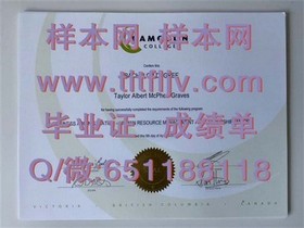 《深度揭秘：埃迪斯科文大学文凭样本解析，留学必备成绩单模板》