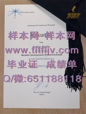 《阿伯丁大学文凭样本揭秘：详尽成绩单解读，留学必备指南》